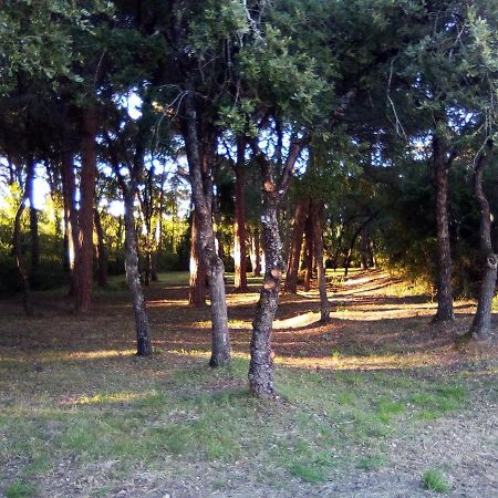 Enjoy The Best Of Countryside Leiria Eksteriør bilde