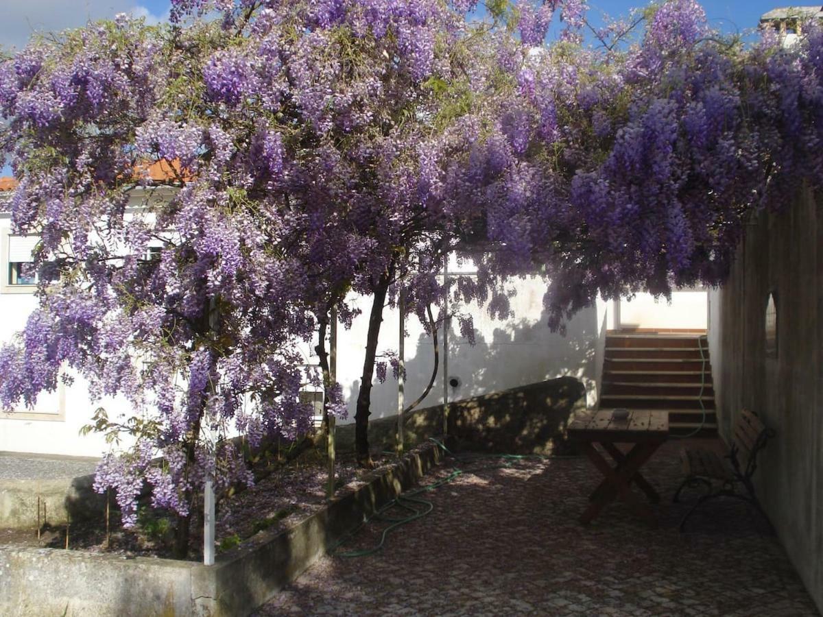 Enjoy The Best Of Countryside Leiria Eksteriør bilde
