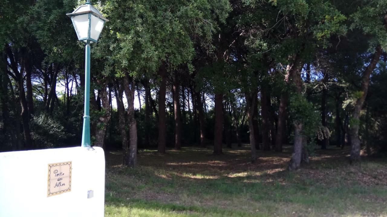 Enjoy The Best Of Countryside Leiria Eksteriør bilde