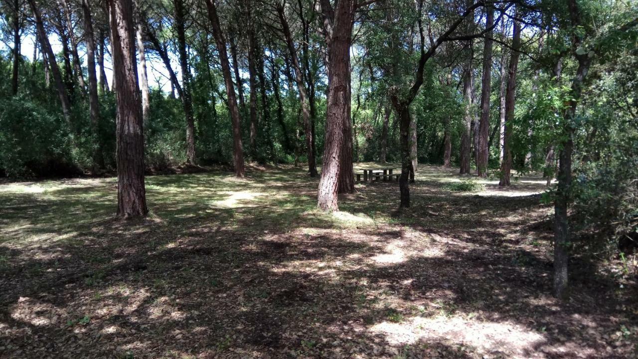 Enjoy The Best Of Countryside Leiria Eksteriør bilde