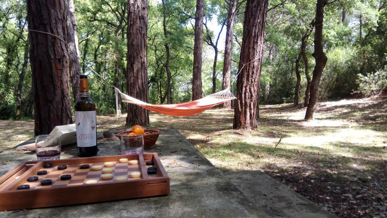 Enjoy The Best Of Countryside Leiria Eksteriør bilde