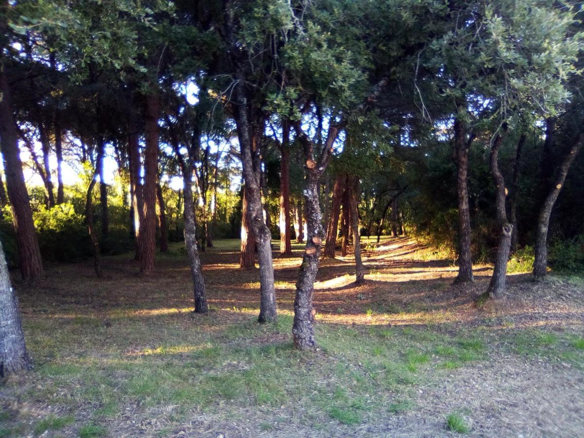 Enjoy The Best Of Countryside Leiria Eksteriør bilde